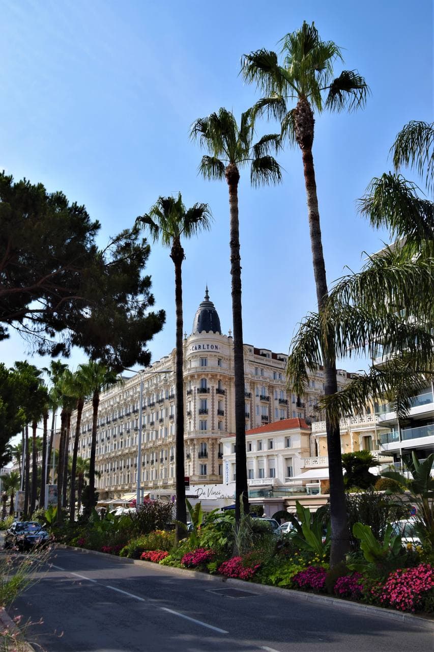 Location Airbnb Cannes - Gestion appartements luxe